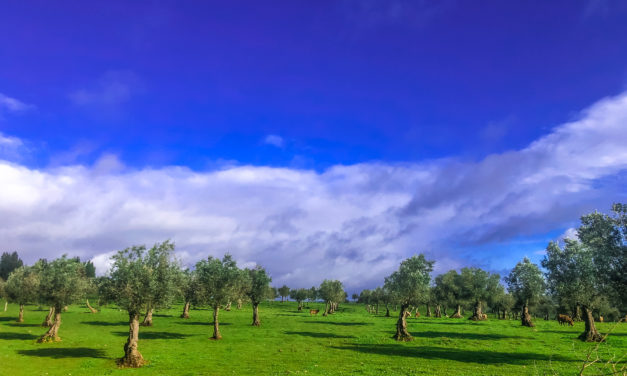 Einfahrt ins Alentejo