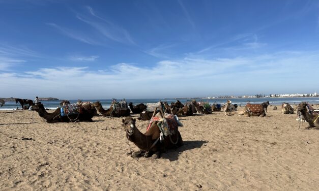 Essaouira und wo sind die Hippies ?